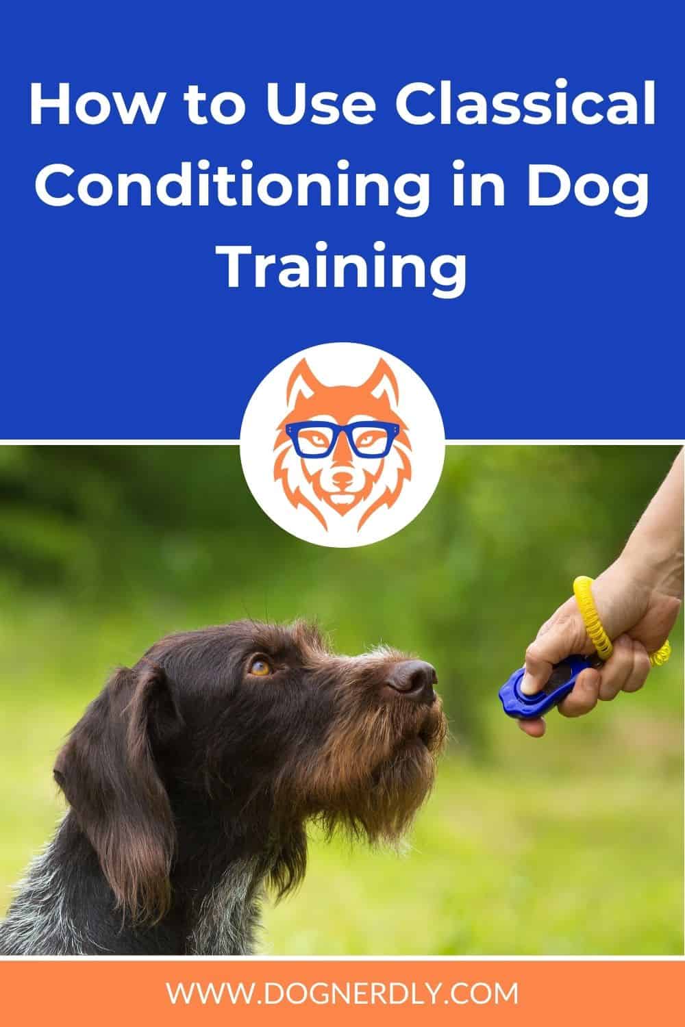 How to Use Classical Conditioning in Dog Training