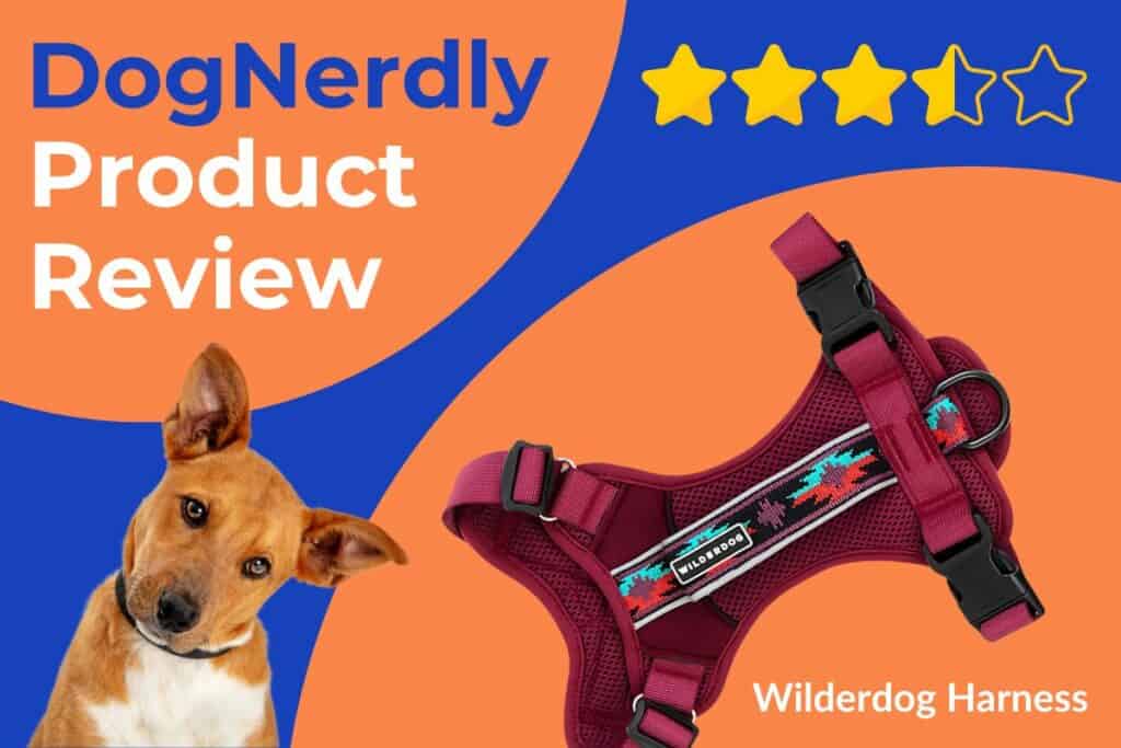 Expert Review: Wilderdog Harness - DogNerdly
