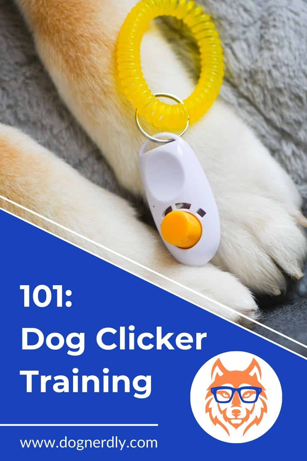 Clicker Training 101: 7 Easy Steps to Train Your Dog