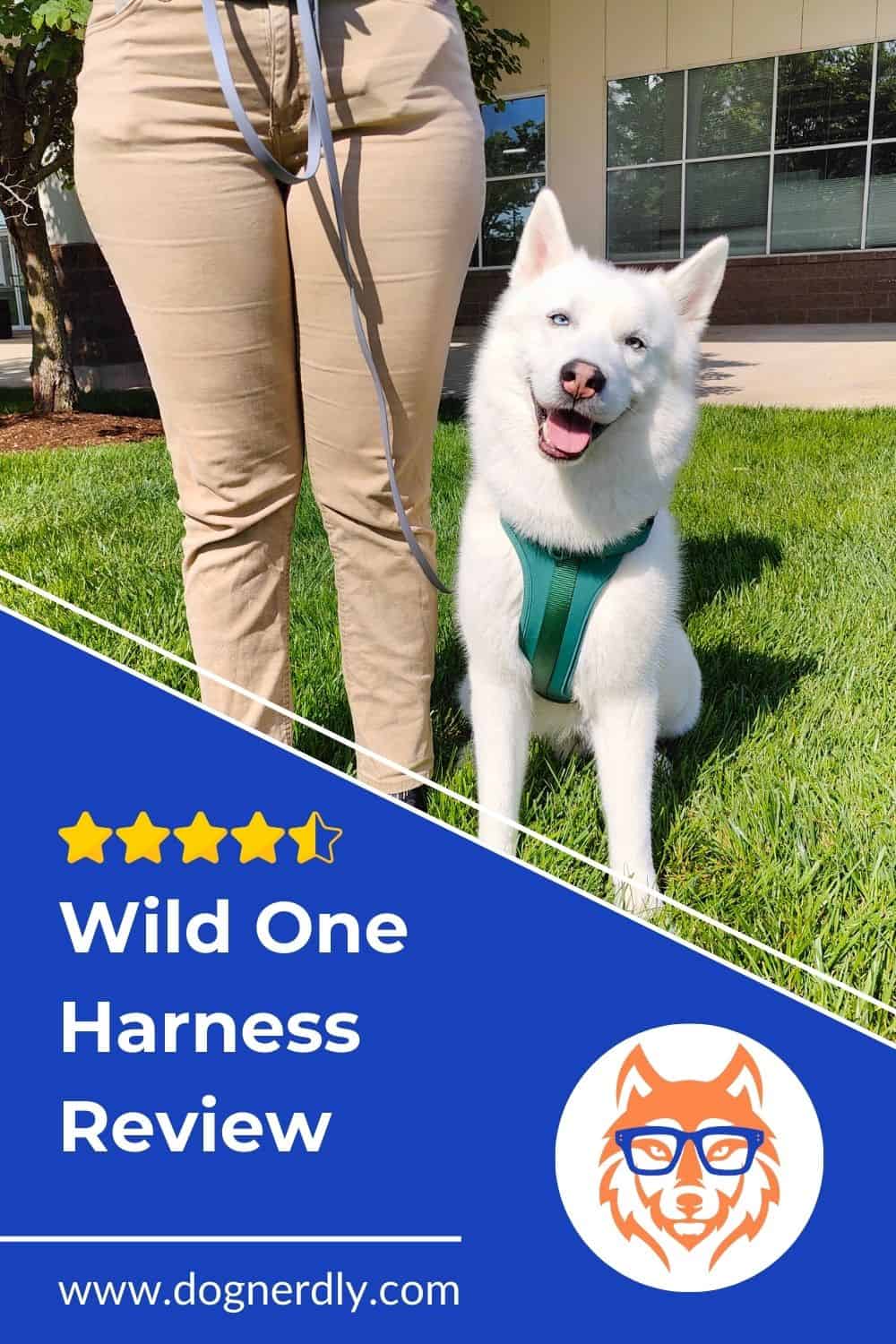 Wild One Harness Review: A Dog Trainer’s Perspective