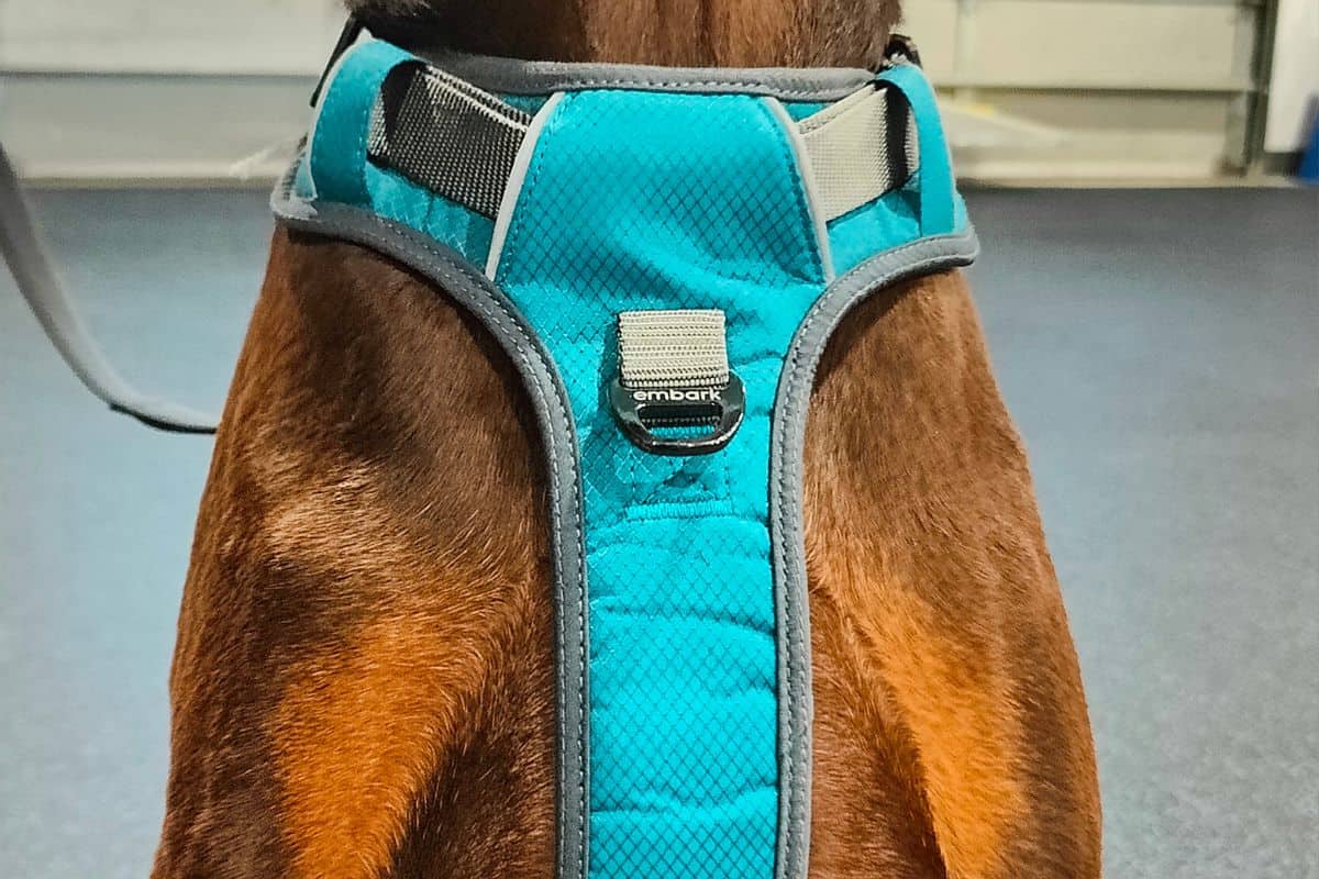 Embark Dog Harness Front Leash Attachment