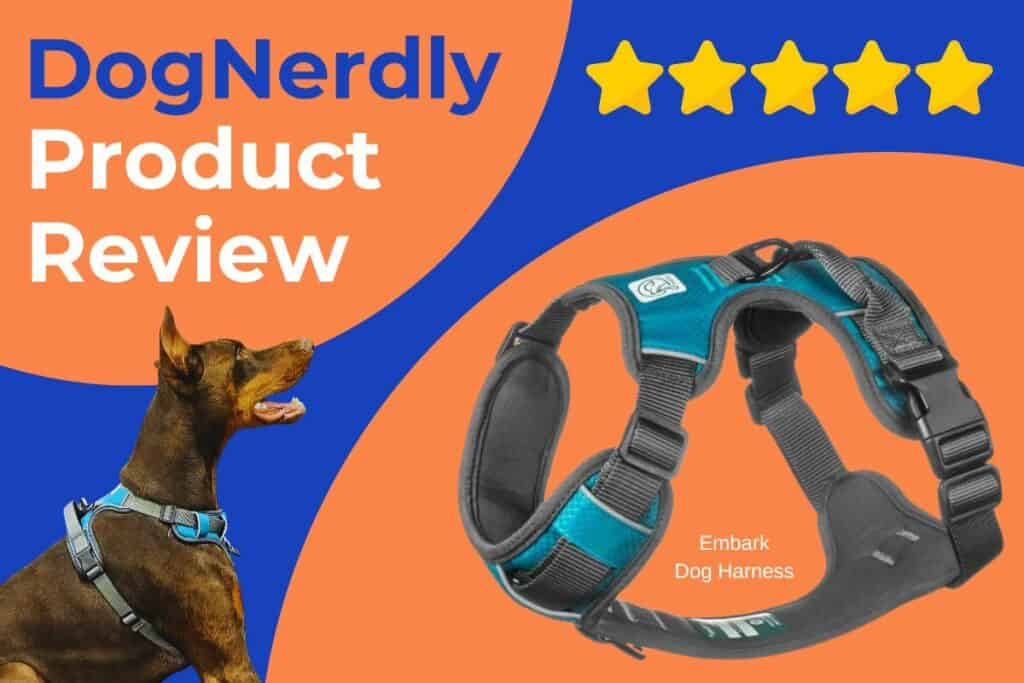 Embark Dog Harness Review