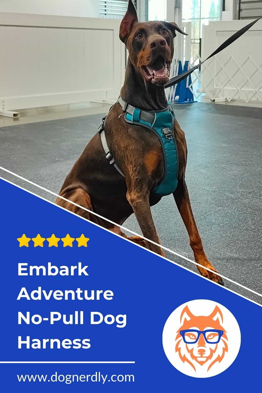 Expert Review: Embark Adventure No Pull Dog Harness