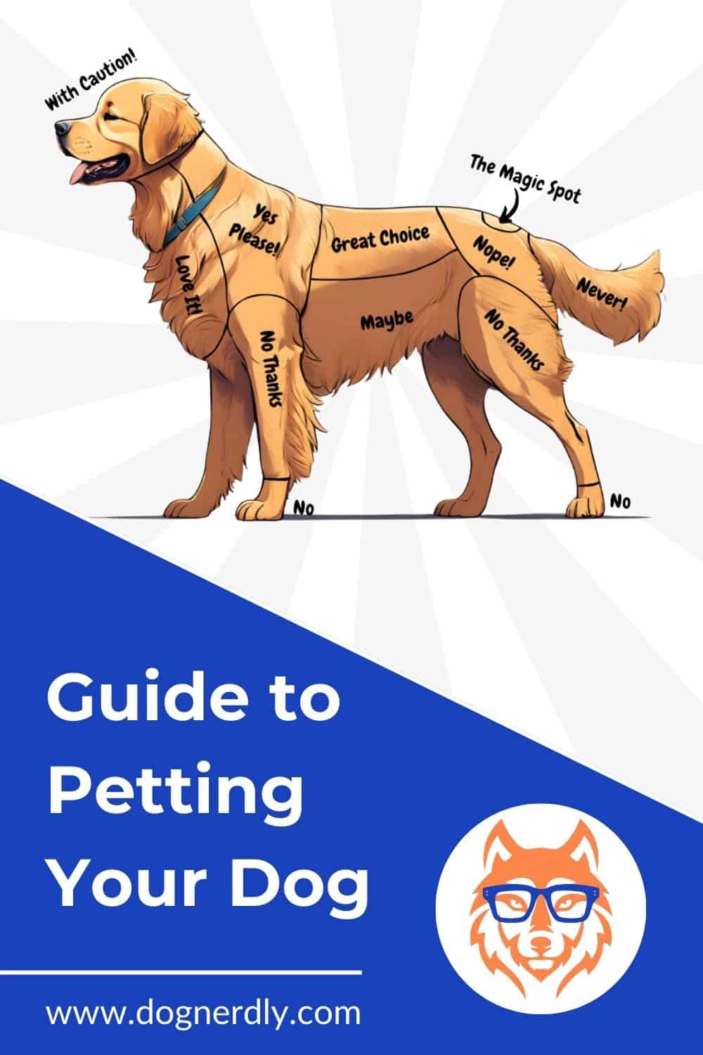 Where to Pet a Dog Safely: Understanding Dog Petting Zones